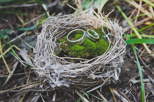 Ovcharenko Aleksandr