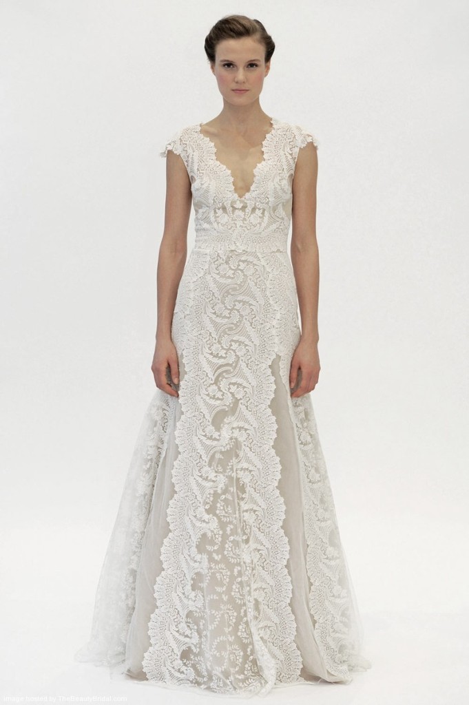 Sleeveless lace embroidered A-Line with V-neckline